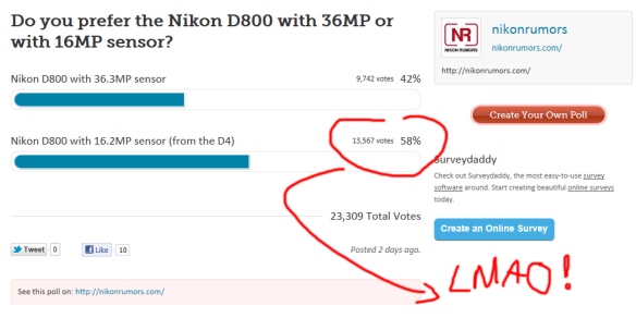 Nikon D800 Poll