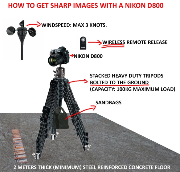 How to get sharp images with a Nikon D800