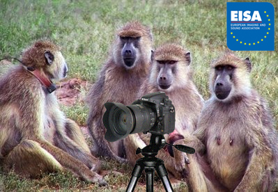 Judges from EISA are seen here testing a Nikon D800 in the field